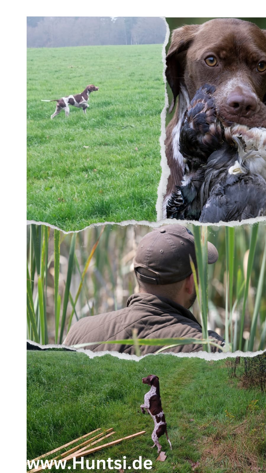 Huntsi – Hund und Jäger im Revier